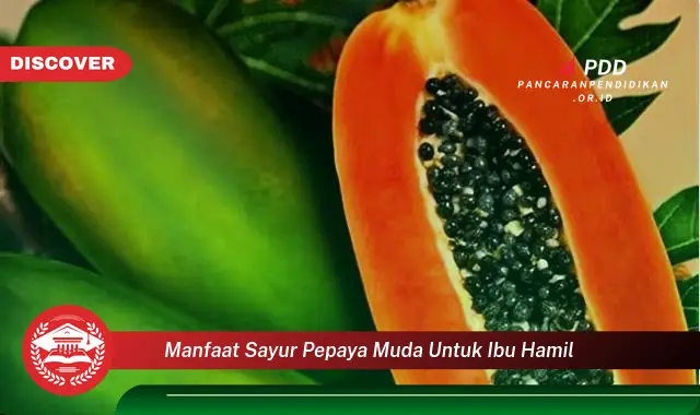 manfaat sayur pepaya muda untuk ibu hamil