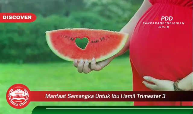 Banyak yang Belum Tau, Ini 30 Manfaat Semangka untuk Ibu Hamil Trimester 3 yang Bikin Penasaran