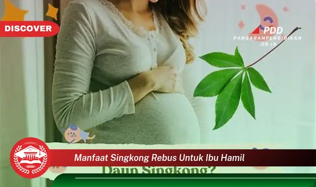 manfaat singkong rebus untuk ibu hamil