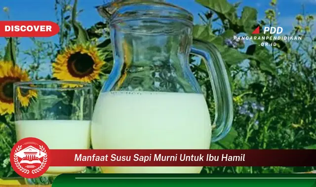 manfaat susu sapi murni untuk ibu hamil