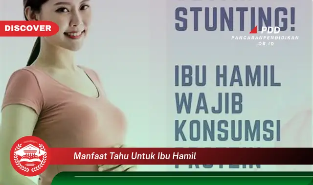 manfaat tahu untuk ibu hamil