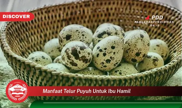 manfaat telur puyuh untuk ibu hamil