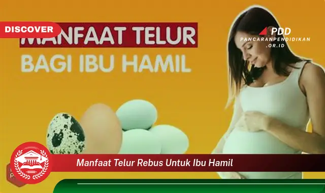 manfaat telur rebus untuk ibu hamil