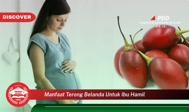 manfaat terong belanda untuk ibu hamil