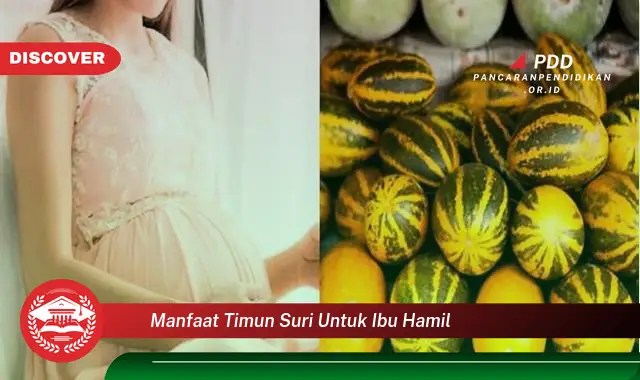 manfaat timun suri untuk ibu hamil