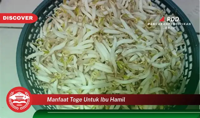 manfaat toge untuk ibu hamil