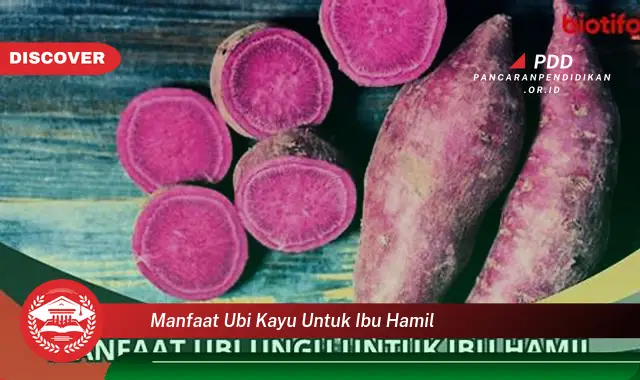 manfaat ubi kayu untuk ibu hamil