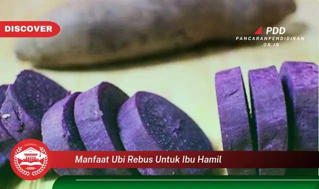 manfaat ubi rebus untuk ibu hamil