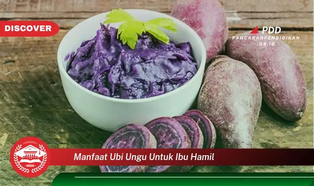 manfaat ubi ungu untuk ibu hamil