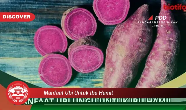 manfaat ubi untuk ibu hamil