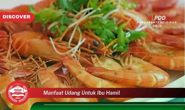 manfaat udang untuk ibu hamil