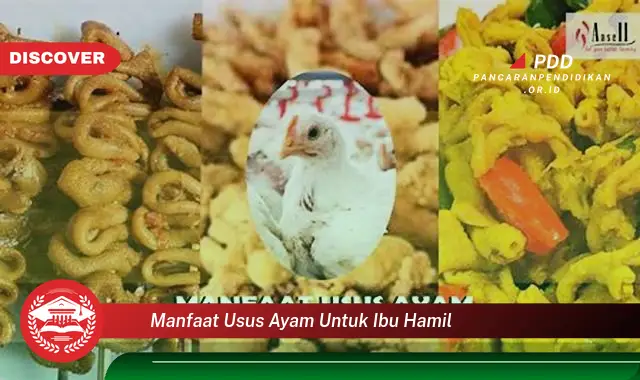 manfaat usus ayam untuk ibu hamil