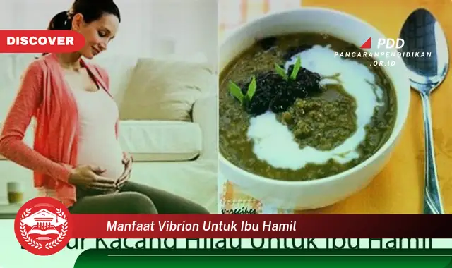 manfaat vibrion untuk ibu hamil