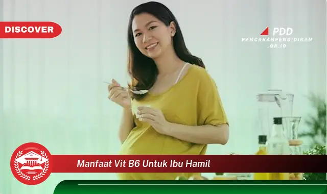 manfaat vit b6 untuk ibu hamil