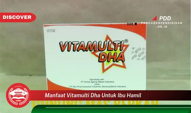 manfaat vitamulti dha untuk ibu hamil