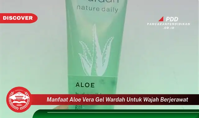 manfaat aloe vera gel wardah untuk wajah berjerawat