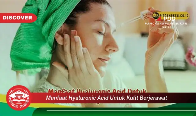 manfaat hyaluronic acid untuk kulit berjerawat