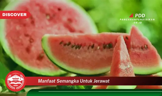 manfaat semangka untuk jerawat