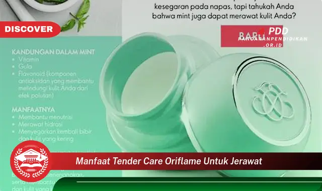 manfaat tender care oriflame untuk jerawat