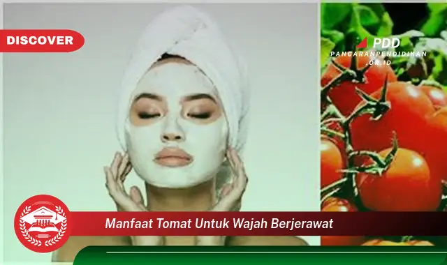 manfaat tomat untuk wajah berjerawat