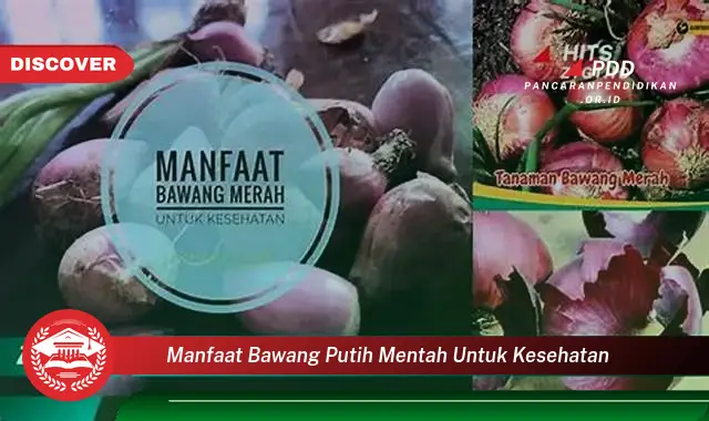 manfaat bawang putih mentah untuk kesehatan