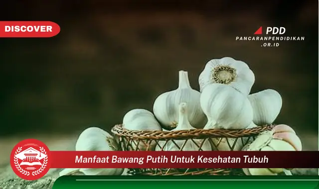 manfaat bawang putih untuk kesehatan tubuh