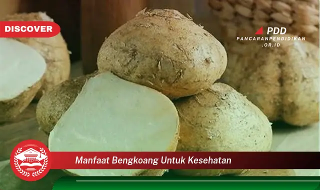 manfaat bengkoang untuk kesehatan