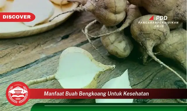 manfaat buah bengkoang untuk kesehatan