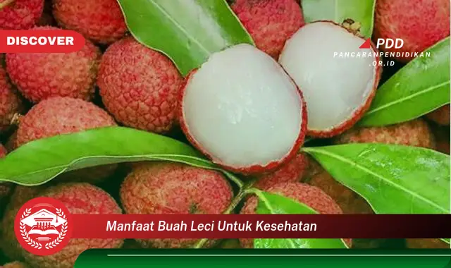 manfaat buah leci untuk kesehatan