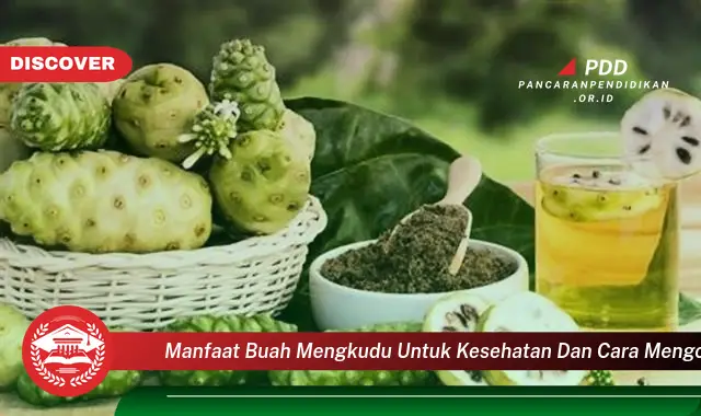 manfaat buah mengkudu untuk kesehatan dan cara mengolahnya