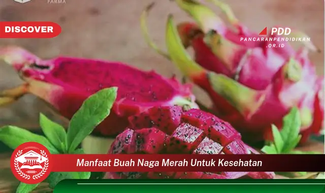 manfaat buah naga merah untuk kesehatan