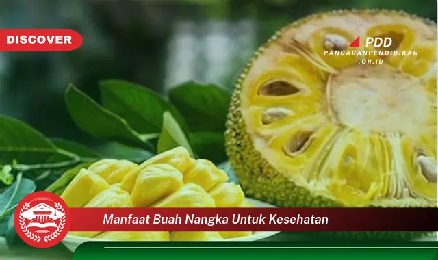 manfaat buah nangka untuk kesehatan