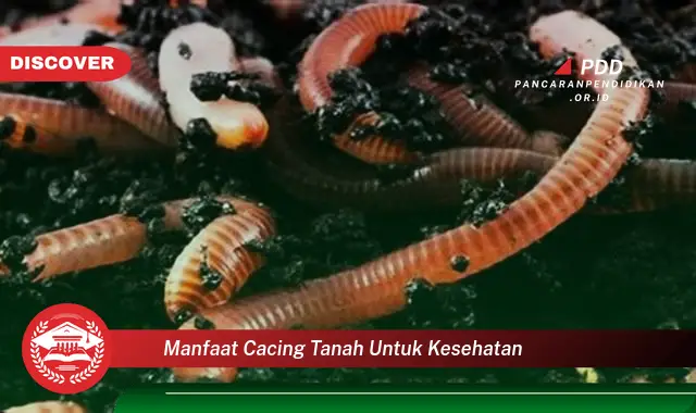 Bikin Penasaran, Ketahui 30 Manfaat Cacing Tanah untuk Kesehatan yang Jarang Diketahui