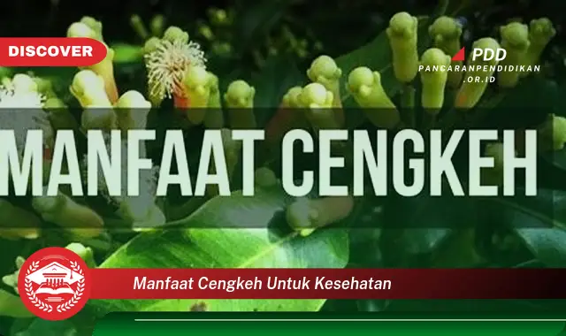manfaat cengkeh untuk kesehatan