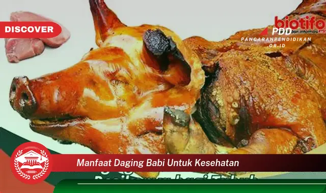 manfaat daging babi untuk kesehatan