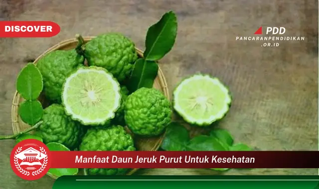 manfaat daun jeruk purut untuk kesehatan