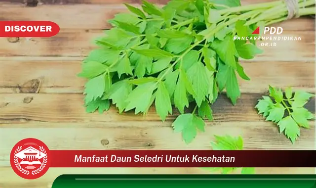 manfaat daun seledri untuk kesehatan