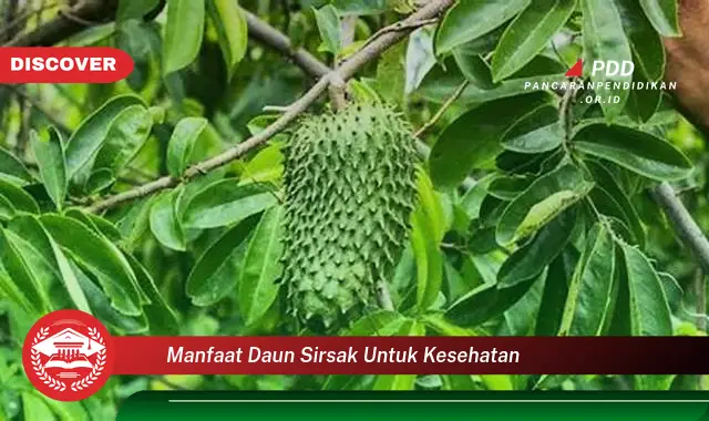 manfaat daun sirsak untuk kesehatan