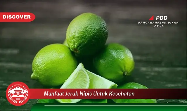 manfaat jeruk nipis untuk kesehatan