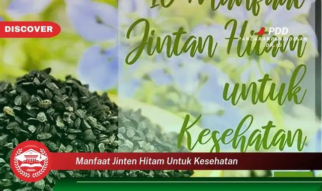 manfaat jinten hitam untuk kesehatan