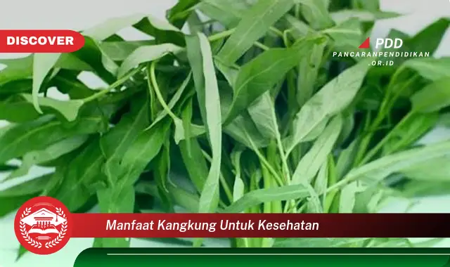 manfaat kangkung untuk kesehatan