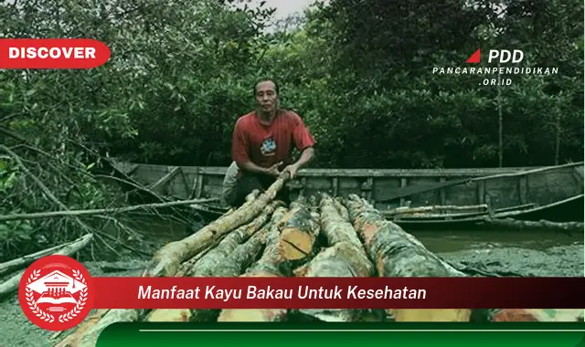 manfaat kayu bakau untuk kesehatan