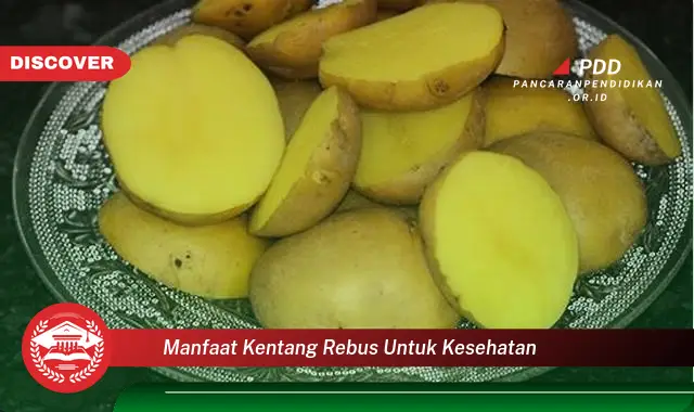 manfaat kentang rebus untuk kesehatan