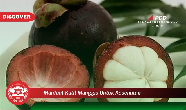 manfaat kulit manggis untuk kesehatan