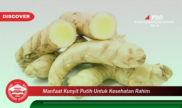 manfaat kunyit putih untuk kesehatan rahim
