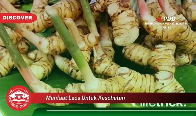 manfaat laos untuk kesehatan