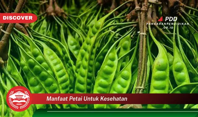 manfaat petai untuk kesehatan