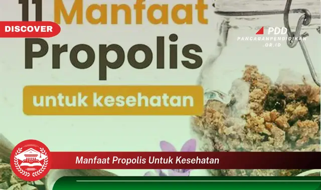 manfaat propolis untuk kesehatan