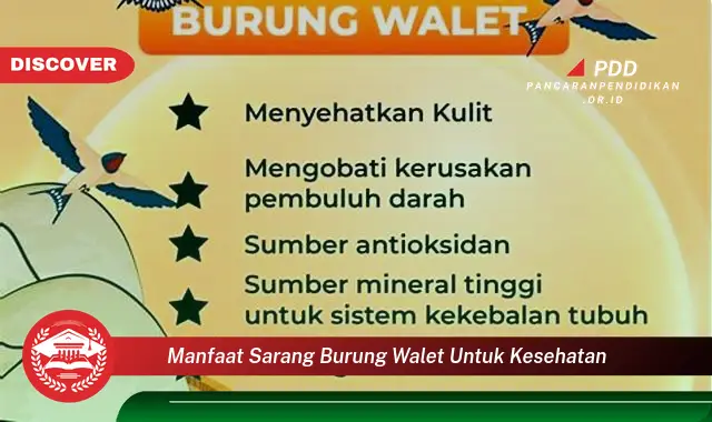 manfaat sarang burung walet untuk kesehatan