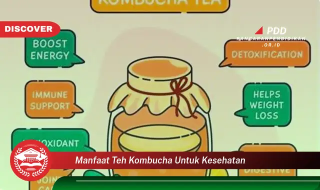 Banyak yang Belum Tau, Ini Dia 30 Manfaat Teh Kombucha untuk Kesehatan